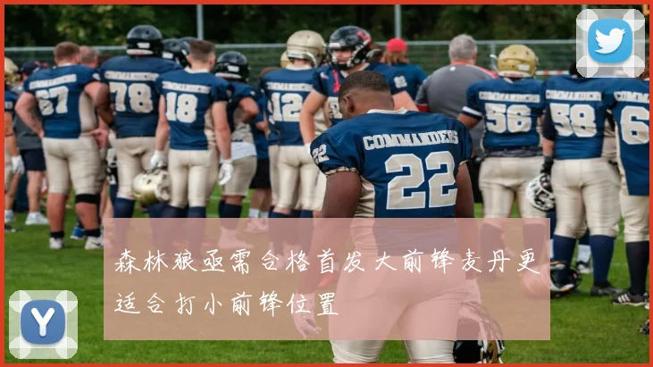 森林狼亟需合格首发大前锋麦丹更适合打小前锋位置