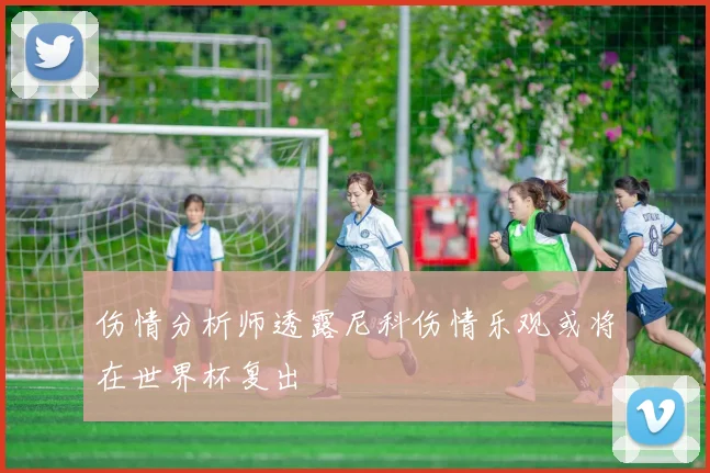 伤情分析师透露尼科伤情乐观或将在世界杯复出