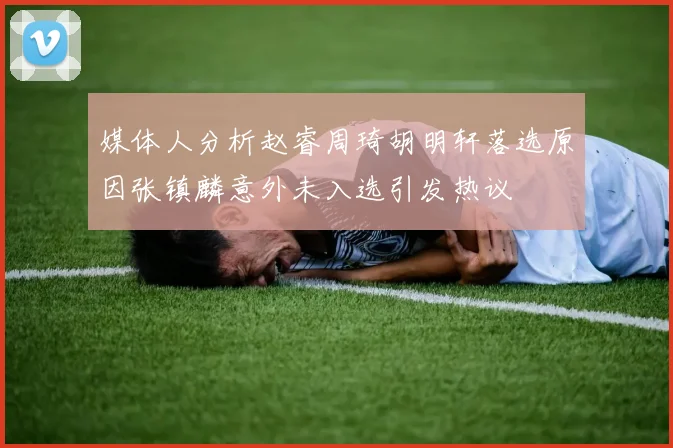 媒体人分析赵睿周琦胡明轩落选原因张镇麟意外未入选引发热议